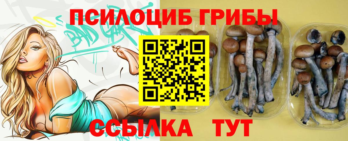 Благовещенск  Псилоцибиновые грибы Psilocybine cubensis  Псилоцибиновые грибы Cubensis  Вход с VPN 