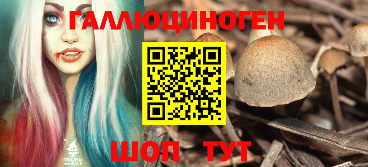 Галлюциногенные грибы MAGIC MUSHROOMS Благовещенск